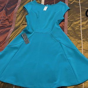 Limited Fit & Flare Dress